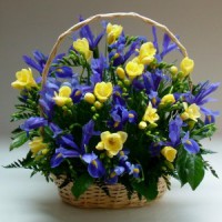 /album/fotogaleria-aranzmane-z-rezanych-kvetov/a58-174-large-jpg/