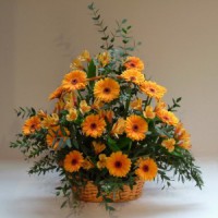 /album/fotogaleria-aranzmane-z-rezanych-kvetov/a59-173-large-jpg/