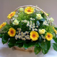 /album/fotogaleria-aranzmane-z-rezanych-kvetov/a67-184-large-jpg/