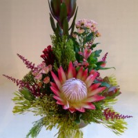 /album/novinky/a84-156-large-jpg2/