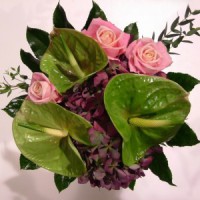 /album/novinky/a87-159-large-jpg1/