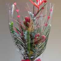 /album/novinky/a86-158-large-jpg1/